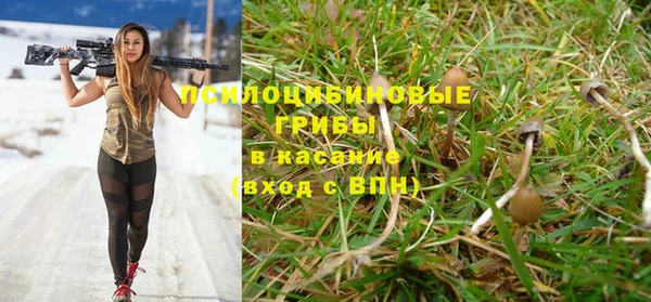 каннабис Гусь-Хрустальный