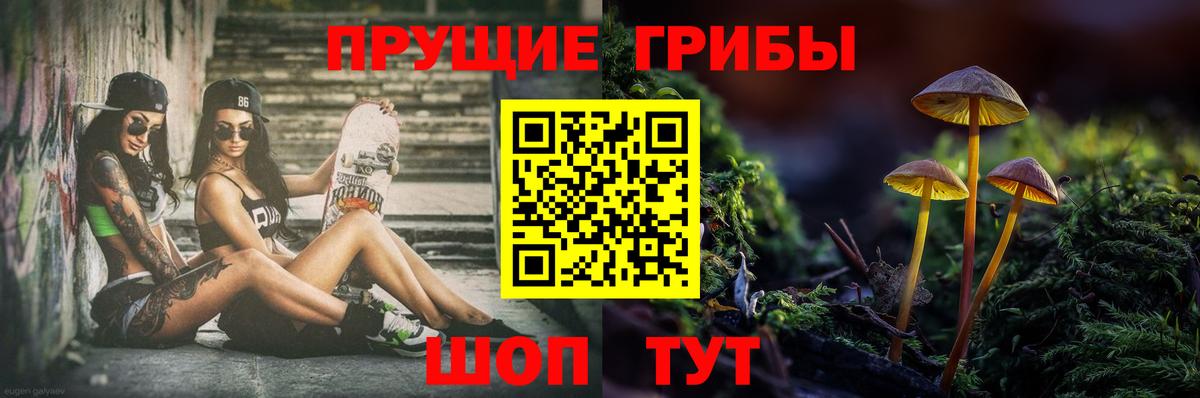 Галлюциногенные грибы прущие грибы Минеральные Воды