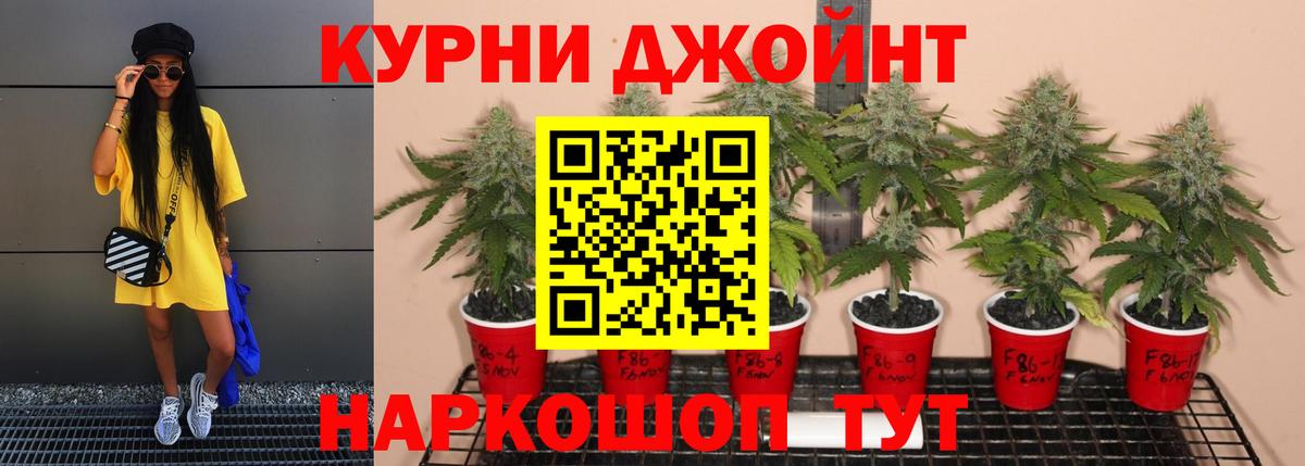 Минеральные Воды  Шишки марихуана AK-47  Шишки марихуана SATIVA & INDICA  Канабис конопля  Вход с VPN  Каннабис Amnesia 